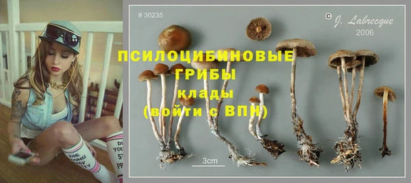 стафф Алзамай