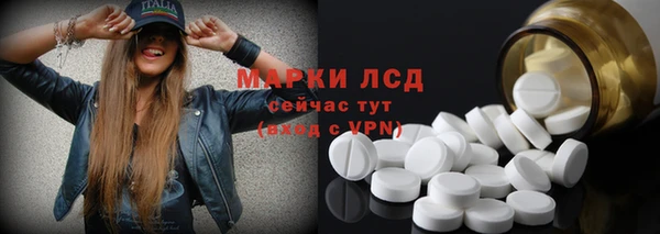стаф Арсеньев