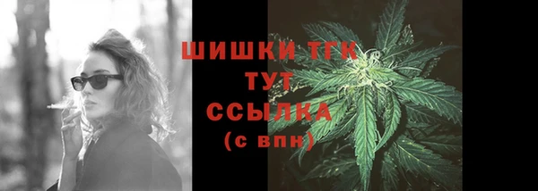стаф Арсеньев
