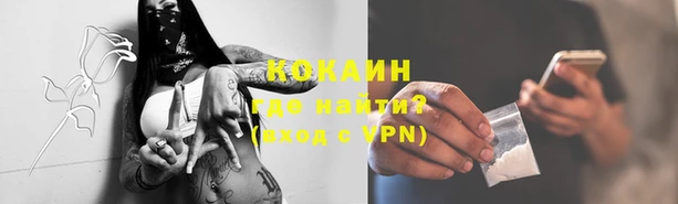 стаф Арсеньев
