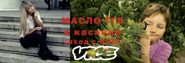 стаф Арсеньев