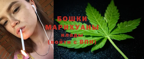 стаф Арсеньев