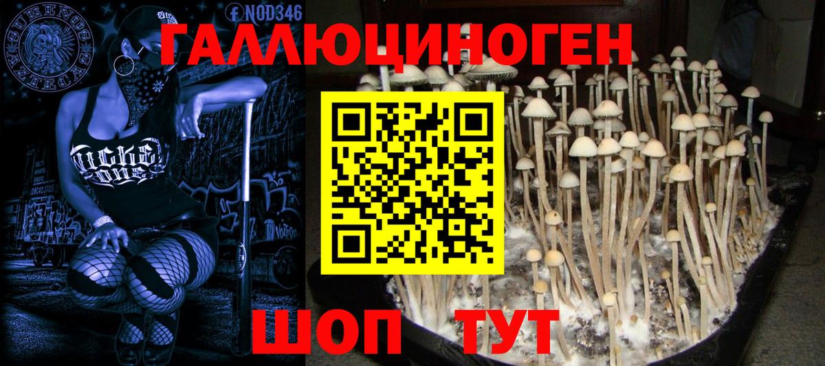 Псилоцибиновые грибы мухоморы  Вход с VPN  Усинск 